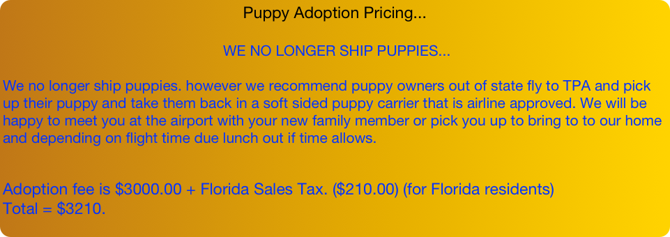 Puppy Adoption Pricing...
 WE NO LONGER SHIP PUPPIES...
We no longer ship puppies. however we recommend puppy owners out of state fly to TPA and pick up their puppy and take them back in a soft sided puppy carrier that is airline approved. We will be happy to meet you at the airport with your new family member or pick you up to bring to to our home and depending on flight time due lunch out if time allows. 
Adoption fee is $3000.00 + Florida Sales Tax. ($210.00) (for Florida residents) 
Total = $3210.