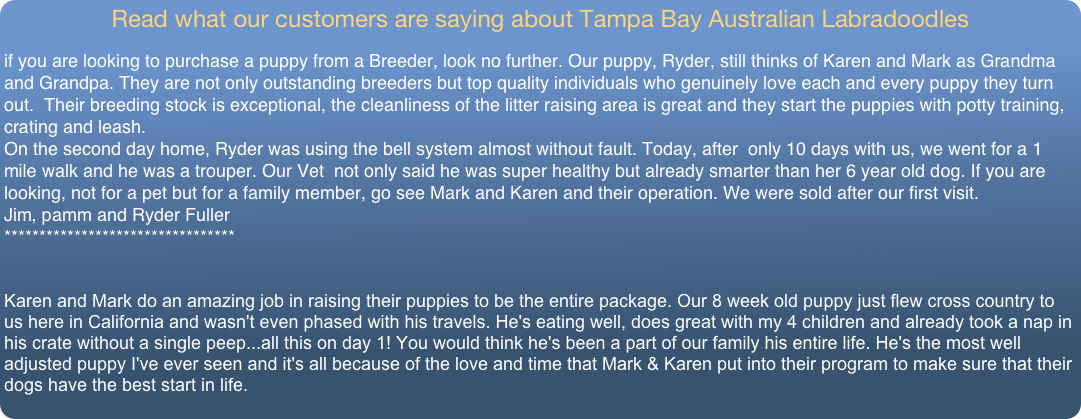 Read what our customers are saying about Tampa Bay Australian Labradoodles 
                                                                                                                             
if you are looking to purchase a puppy from a Breeder, look no further. Our puppy, Ryder, still thinks of Karen and Mark as Grandma and Grandpa. They are not only outstanding breeders but top quality individuals who genuinely love each and every puppy they turn out.  Their breeding stock is exceptional, the cleanliness of the litter raising area is great and they start the puppies with potty training, crating and leash.
On the second day home, Ryder was using the bell system almost without fault. Today, after  only 10 days with us, we went for a 1 mile walk and he was a trouper. Our Vet  not only said he was super healthy but already smarter than her 6 year old dog. If you are looking, not for a pet but for a family member, go see Mark and Karen and their operation. We were sold after our first visit.
Jim, pamm and Ryder Fuller
*********************************


Karen and Mark do an amazing job in raising their puppies to be the entire package. Our 8 week old puppy just flew cross country to us here in California and wasn't even phased with his travels. He's eating well, does great with my 4 children and already took a nap in his crate without a single peep...all this on day 1! You would think he's been a part of our family his entire life. He's the most well adjusted puppy I've ever seen and it's all because of the love and time that Mark & Karen put into their program to make sure that their dogs have the best start in life.
 
The Fristoe family, CA...

 Click Here to Read More>>
